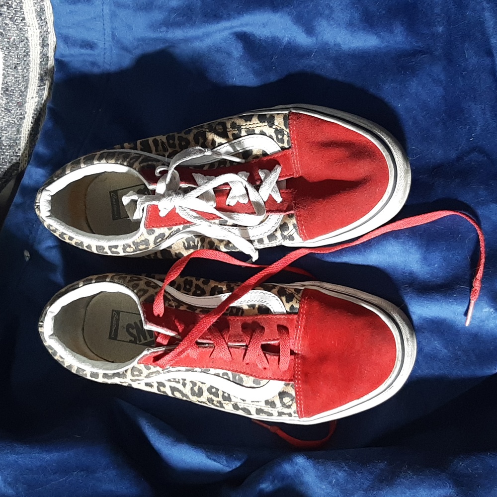 Custom vans off the walls